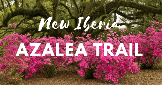 New Iberia Azalea Trail