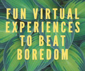 Fun Virtual Experiences to Beat Boredom