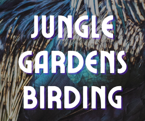 Birding at Avery Island's Jungle Gardens
