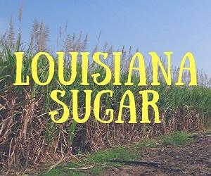 Louisiana Sugar Cane Festival Spotify Playlist